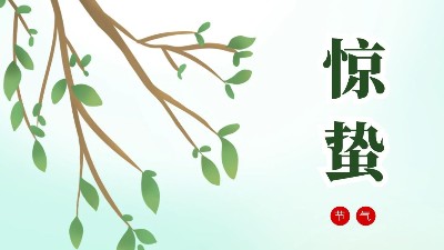 24節(jié)氣-驚蟄-上海邦森