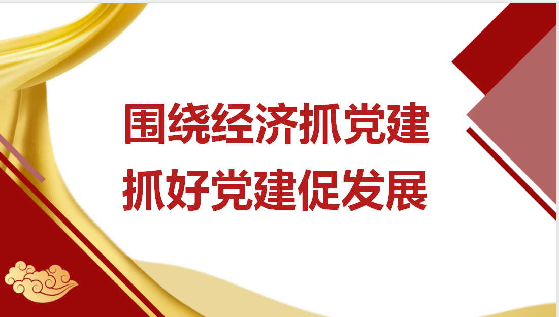 圍繞經(jīng)濟抓黨建  抓好黨建促發(fā)展-上海明磊邦森黨建活動