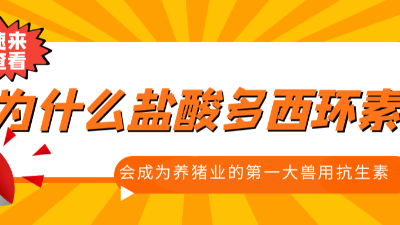 上海邦森分享-為什么鹽酸多西環(huán)素會成為養(yǎng)豬業(yè)第一大獸用抗生素